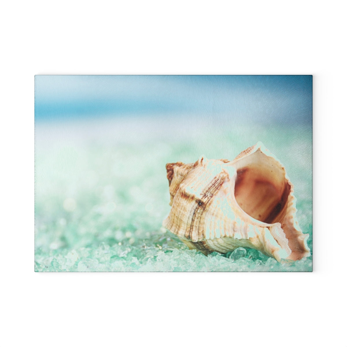 Glass Cutting Board, Shoreline Seashell - Two Sizes Available1